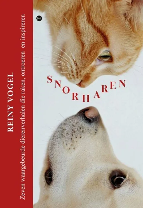 Screenshot 2025-08-14 at 14-56-35 image.asp (JPEG-afbeelding 500 × 750 pixels) - Geschaald (87%)