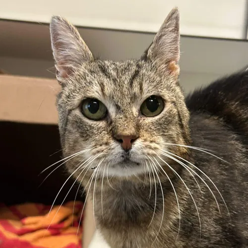 Jessy-0697-nieuw-17.07