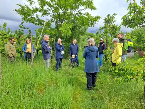 Voedselbos_de_Waalgaard_Weurt_2(1)