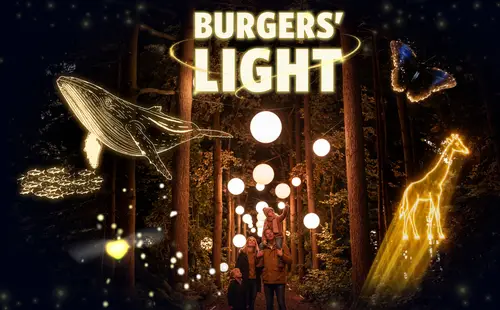 Burgers' Light