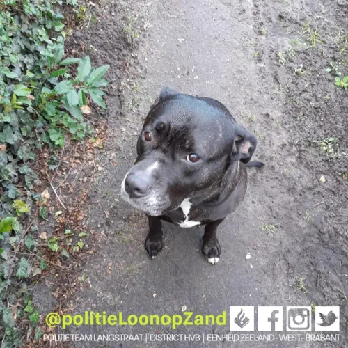 121363916 3162676227194528 3959704100672059126 o