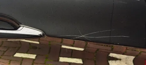 13521948 1130019893728473 5004794539527067015 n