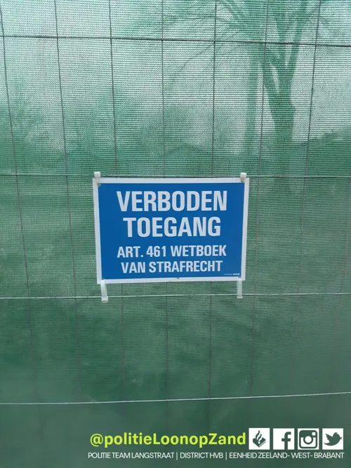 135934423 3386409541487861 2428672182634986287 o