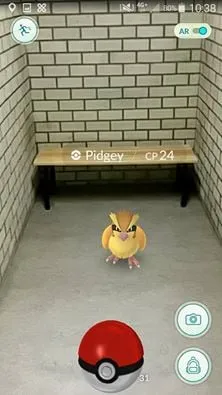 13620351 276432196054802 3093664403868327294 n