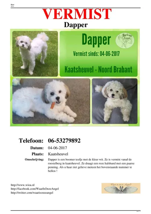 18926612 1384368084991148 2012844556 o