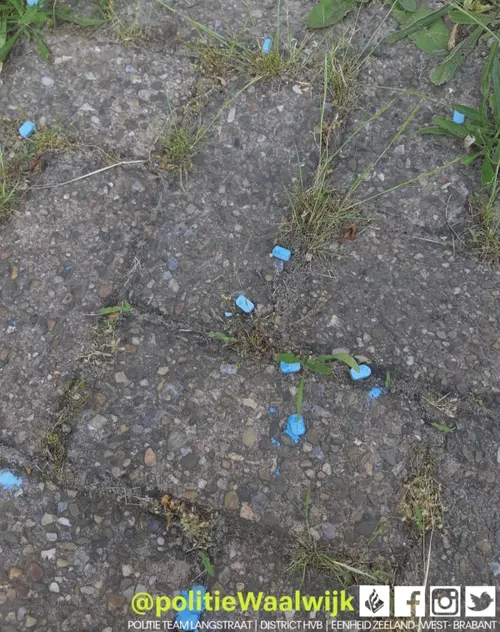 201658354 153086426852585 2104872899894379838 n