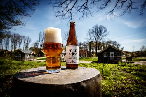 201804190007 verdiende loon