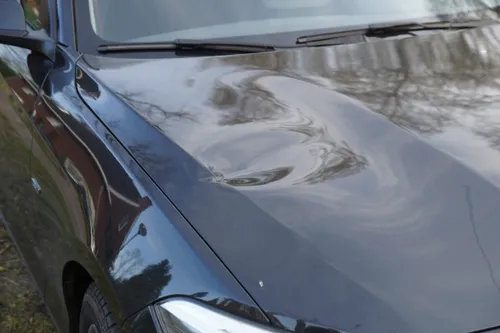 20220402075241 dsc07347