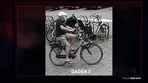 256682732 4530267060400481 6601866987954683579 n