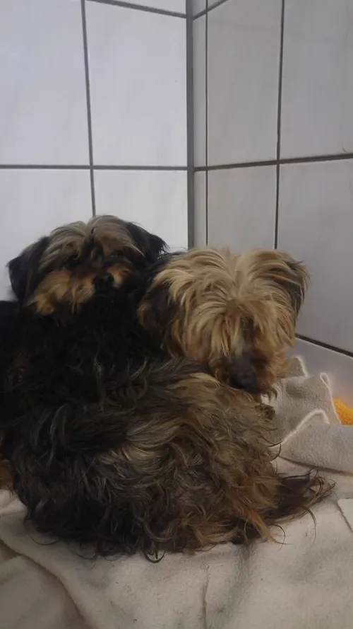 26167603 2127058214184400 6368342206537837290 n