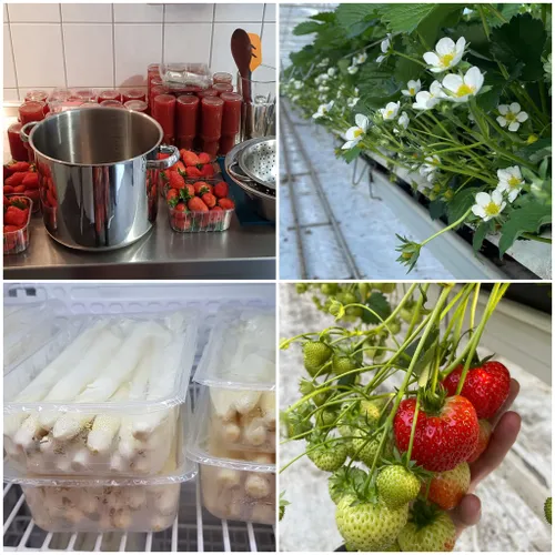 338143429 9861581717201000 4324594459889522693 n