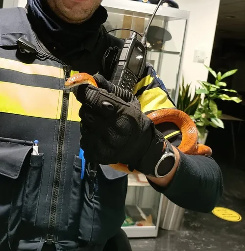 345195208 1022258075416810 3769163526028648911 n