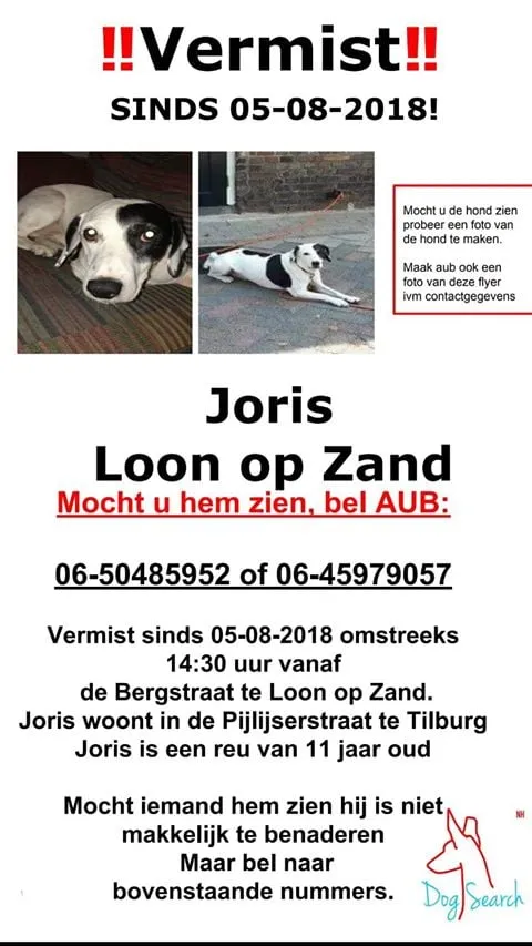 38504060 459317897929064 3211406596940759040 n