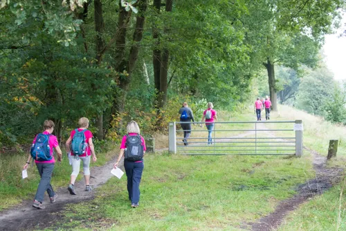 3a1b8de0 dc6d 48a5 92d5 9f247a98d06f scaled