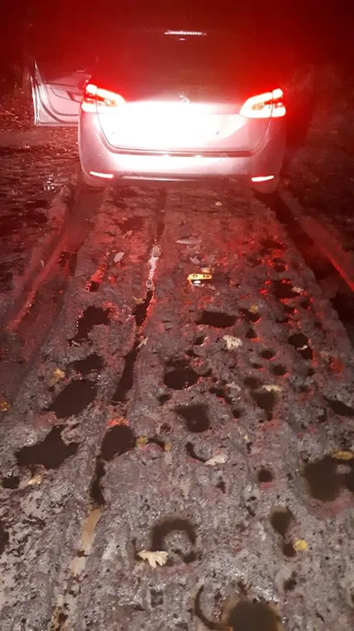 47576329 1792402397555258 1643149058887385088 n