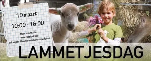 53915097 2231319106927425 1100047996176826368 n