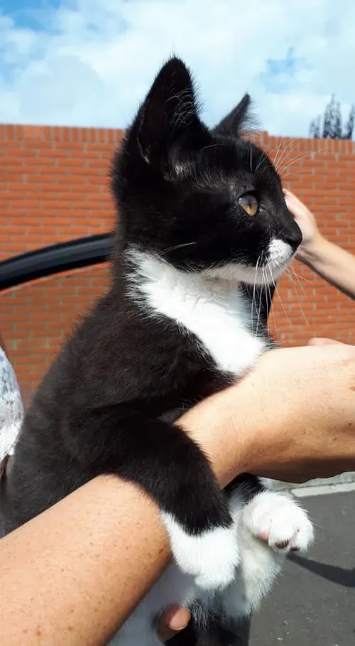 67676402 2148587765270051 2550756801939243008 n