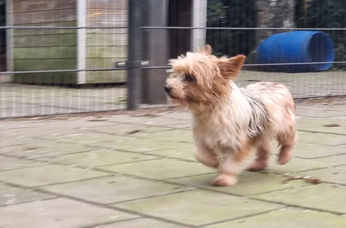 a29b7430 361a 4fcd 94fd d48ffbe25761