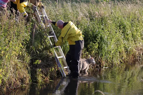 foto 4kopie 1 scaled