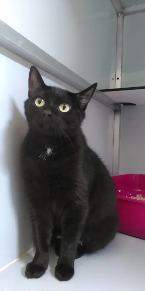 img 20230726 165338 scaled