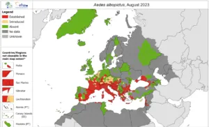 screenshot 20230918 111635 300x182