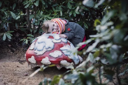 winter efteling muzikale paddenstoel