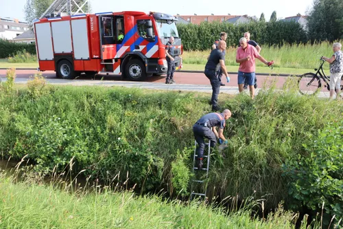 20240813092534 img 0360