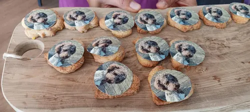 557590559_1255722239691330_6982428860042251927_n