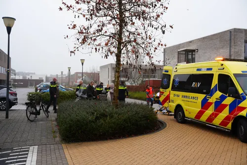 5d68e878-12c7-4d49-854a-a525e36528eb