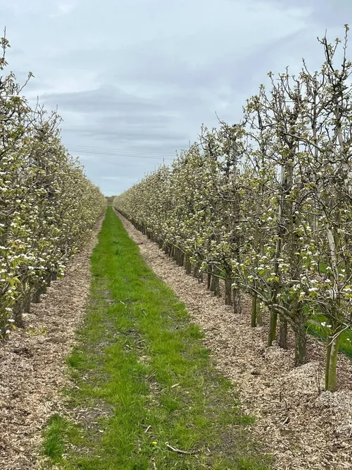 661929820_26253461734348156_7125741529655994272_n