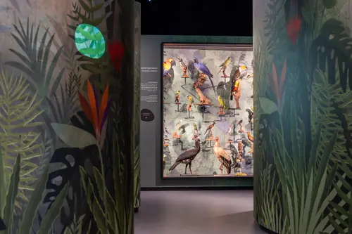 2026_NatuurmuseumBrabant_Tentoonstelling Leve het Leven