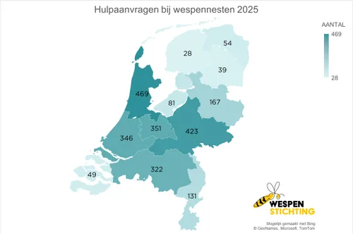 Hulpaanvragen bij wespennesten 2025 - Wespenstichting