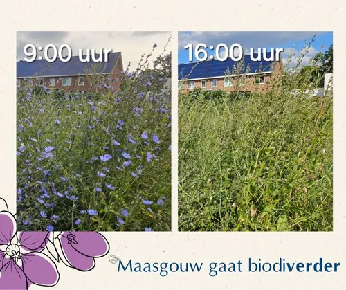 Dezelfde dag, andere tijd