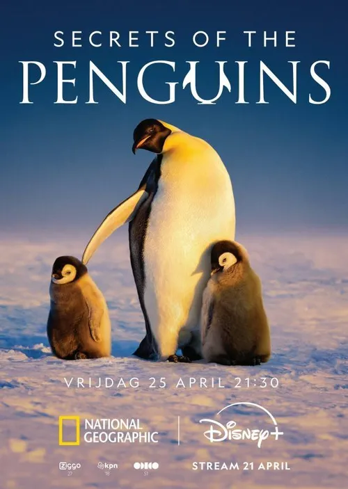 secrets of the penguins national geographic 1