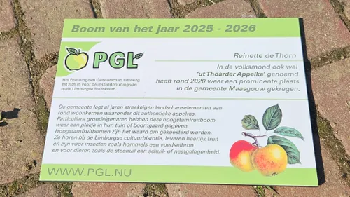 Reinette van Thorn FB certificaat