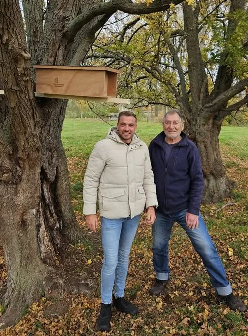 Steenuilenkast Grote Hegge -585421234_1306163371551033_6464944013720743126_n