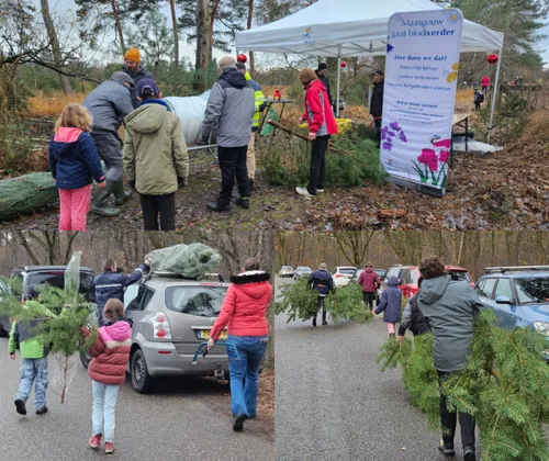 foto_kerstboomactie-1