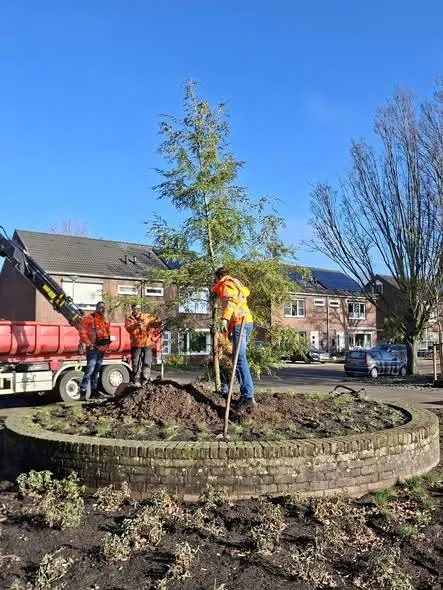 Sterplein - 641294759_1389477666552936_2404832158362593262_n