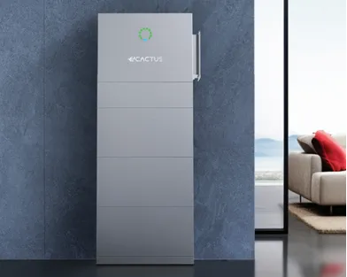 Remozon1-ECactusThuisbatterij-2