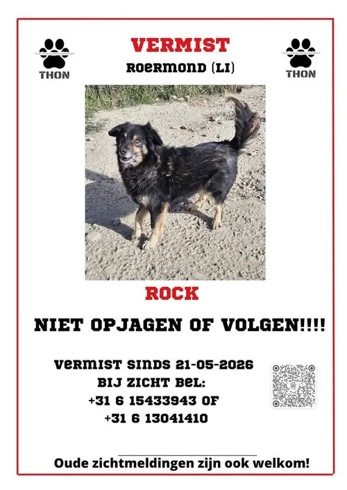 Rock - 706217790_1574697801324611_3283156969835644052_n