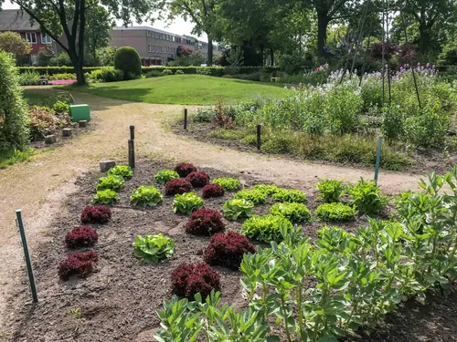 1 buurttuin bitswijk uden foto privecollectie c2a9