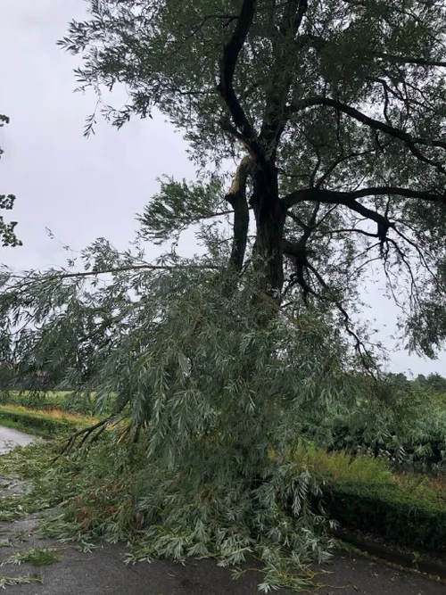 27 07 2023 stormschade veghel 02