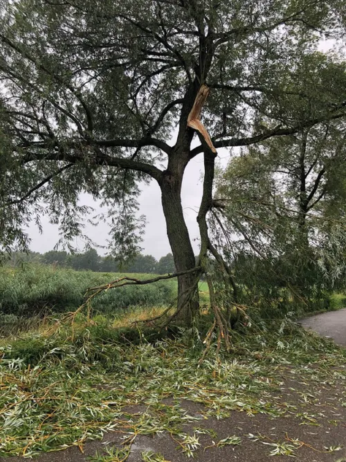 27 07 2023 stormschade veghel 03