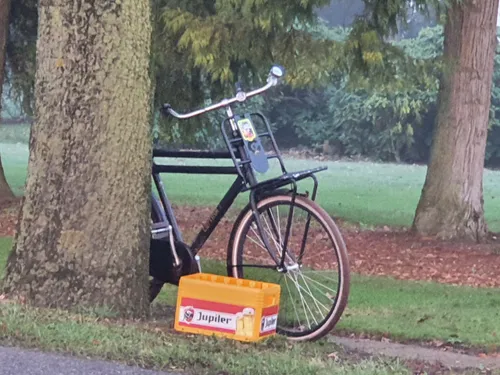 img 20230206 205041 313 1