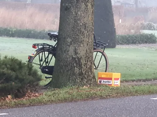 img 20230206 205042 141 1