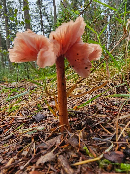 &nbsp; Gerda Vloet/IVN Uden&nbsp;&nbsp;
