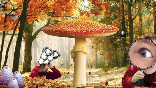 Gerda Vloet/IVN Uden