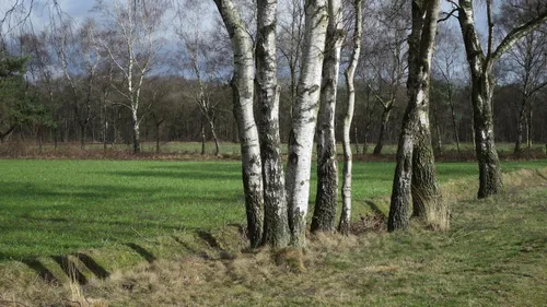 Gerda Vloet/IVN Uden