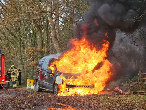 point blur nov242024 132707