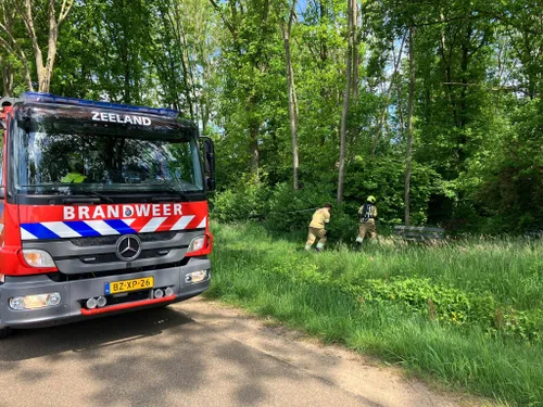 496094875 695571256538467 8340683986802974024 n